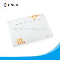 High Quality Custom Logo Printed Express Paper Envelope Packaging